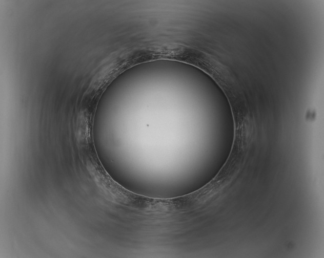 X0000113371058200909221218