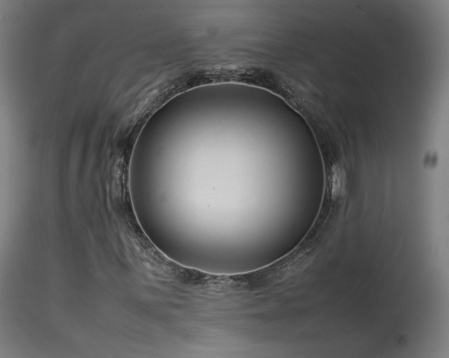 X0000113371059200909221218