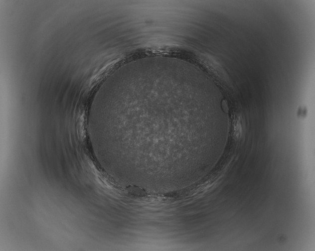 X0000113371060200909221218