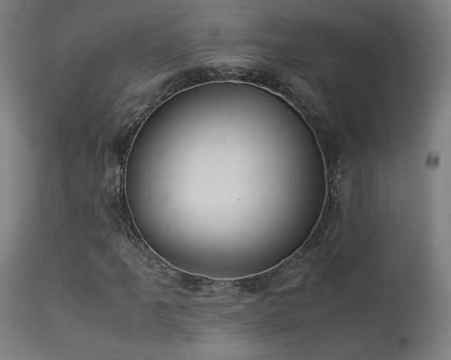 X0000113371061200909221218