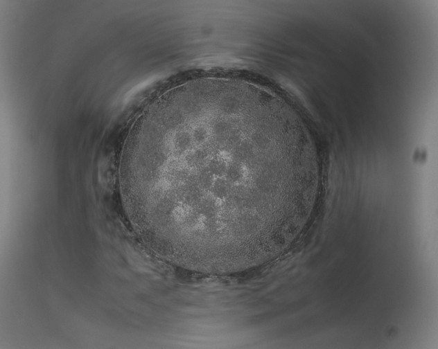 X0000113371063200909221218