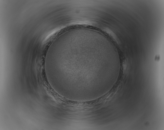 X0000113371064200909221218