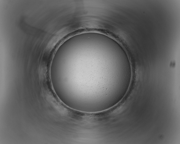 X0000113371065200909221218