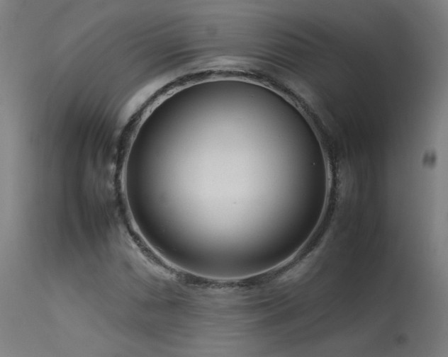 X0000113371066200909221218