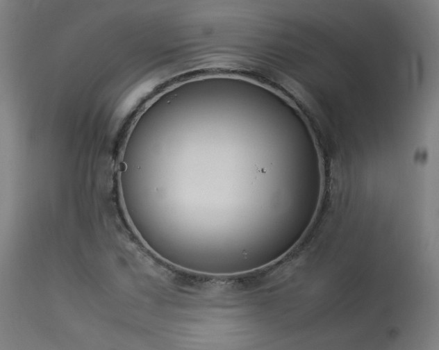 X0000113371067200909221218