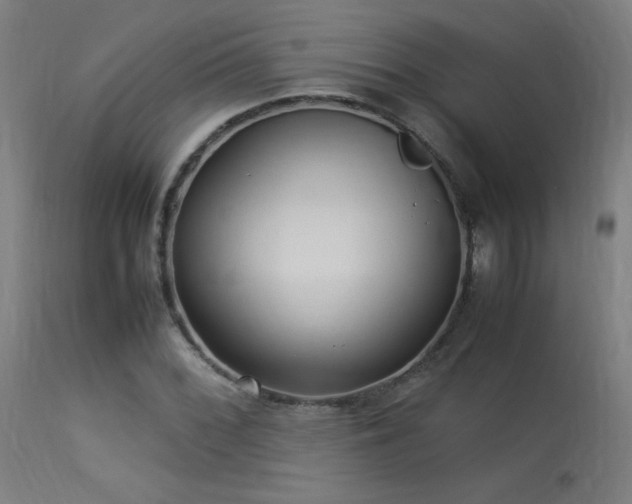 X0000113371068200909221218