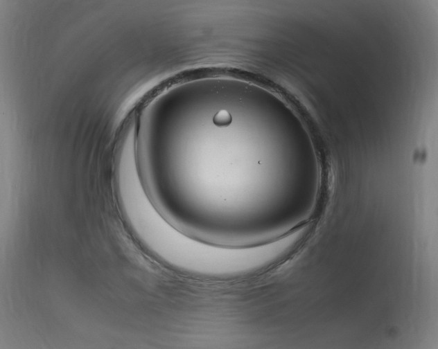 X0000113371069200909221218
