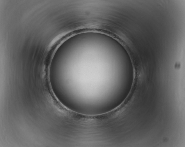 X0000113371070200909221218