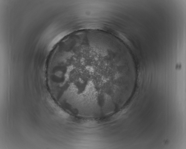 X0000113371071200909221218