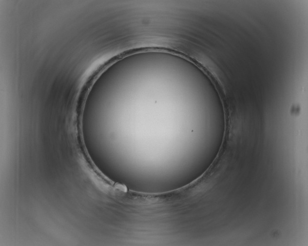 X0000113371072200909221218