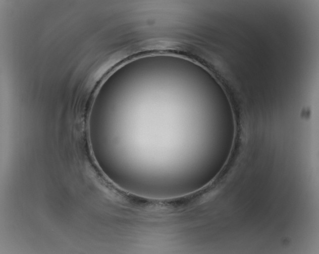 X0000113371073200909221218