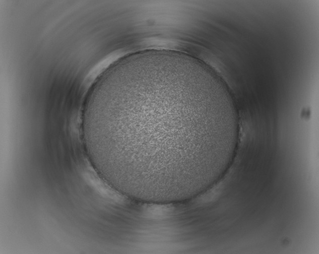 X0000113371074200909221218