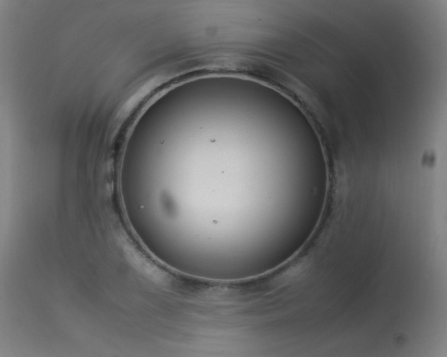 X0000113371075200909221218