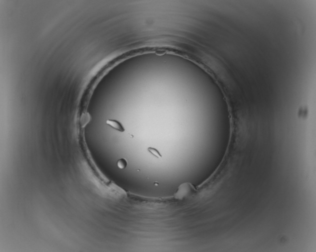 X0000113371076200909221218