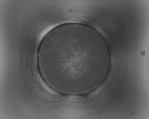 X0000113371077200909221217