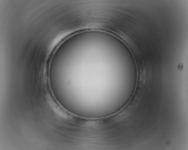 X0000113371078200909221217