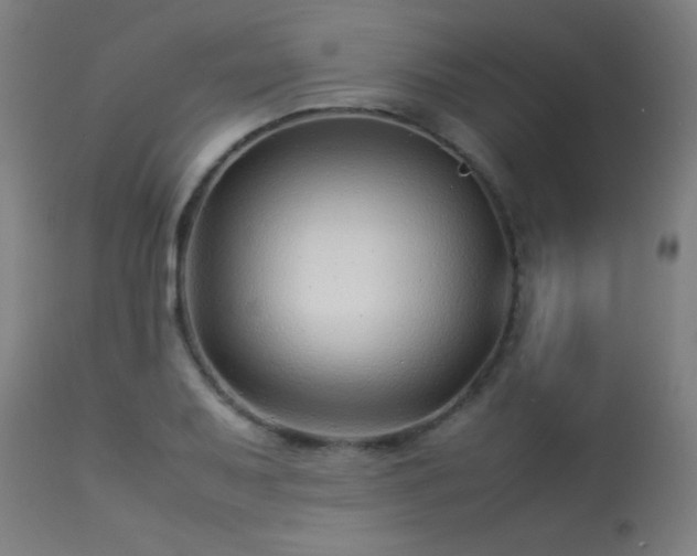 X0000113371079200909221217