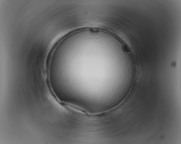 X0000113371080200909221217