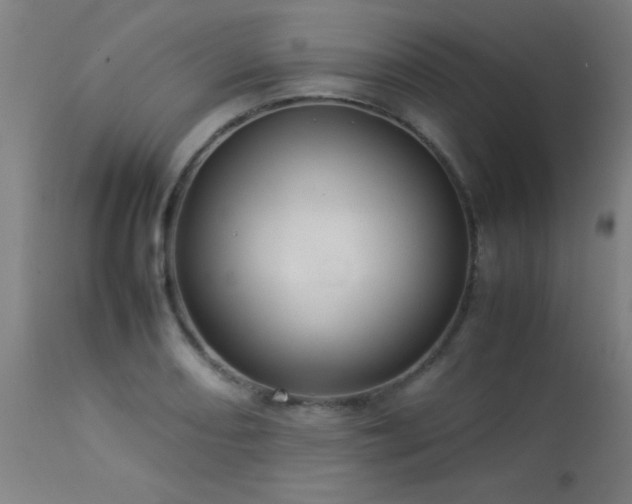 X0000113371082200909221217