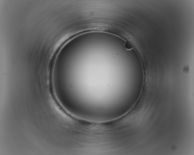 X0000113371083200909221217