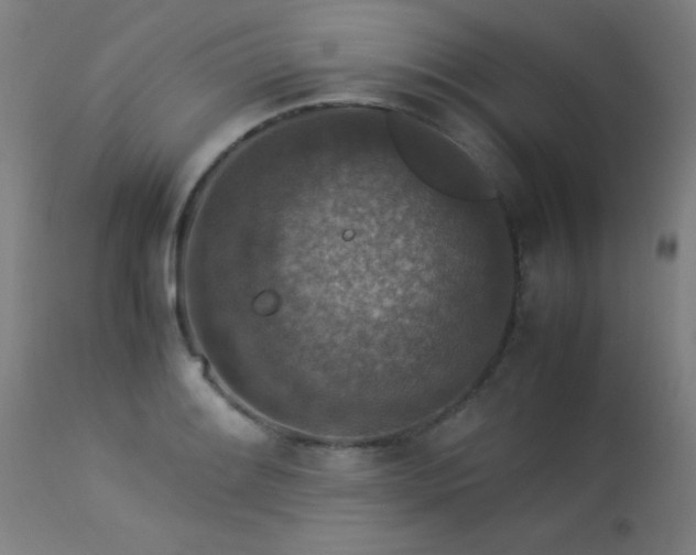 X0000113371084200909221217