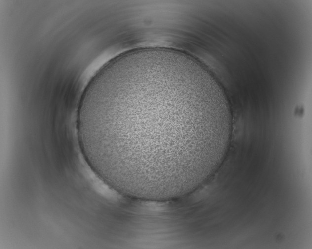 X0000113371086200909221217