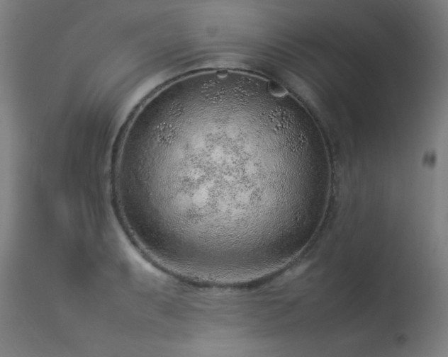 X0000113371087200909221217
