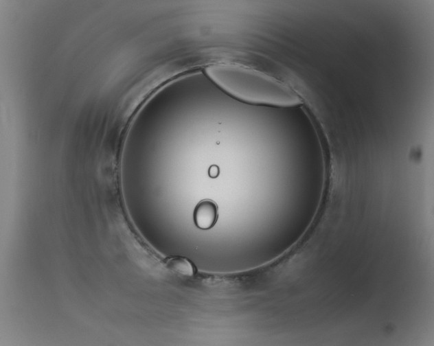 X0000113371089200909221217
