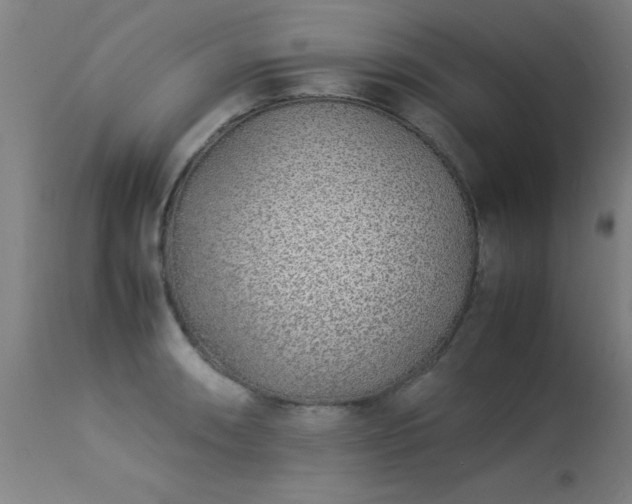 X0000113371090200909221217