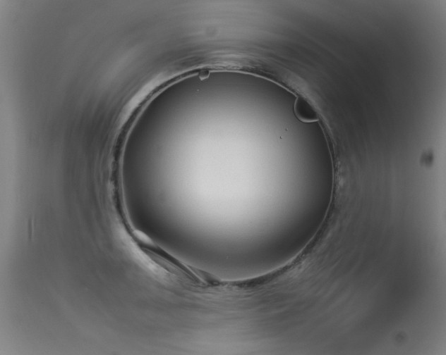 X0000113371091200909221217