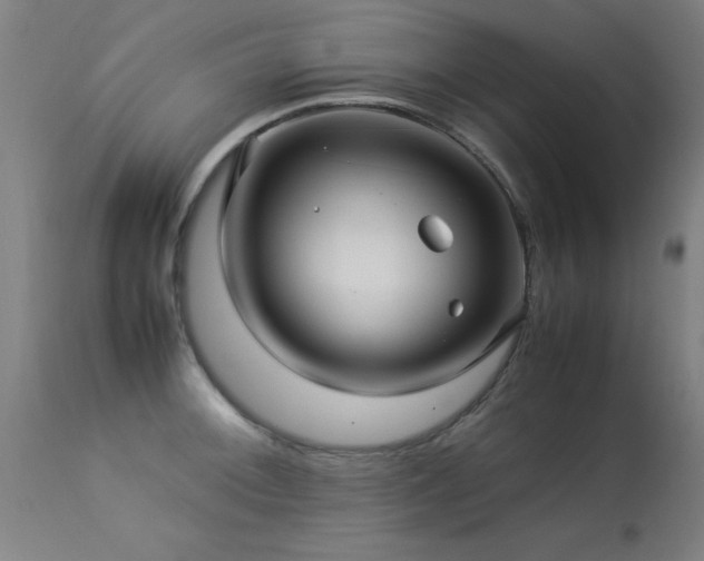 X0000113371092200909221217