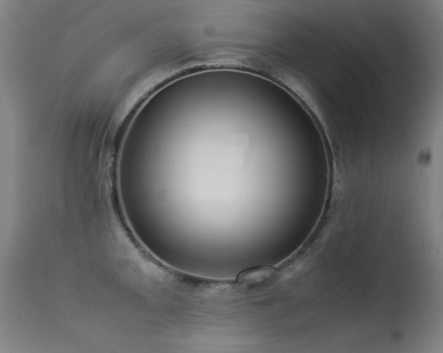 X0000113371093200909221217