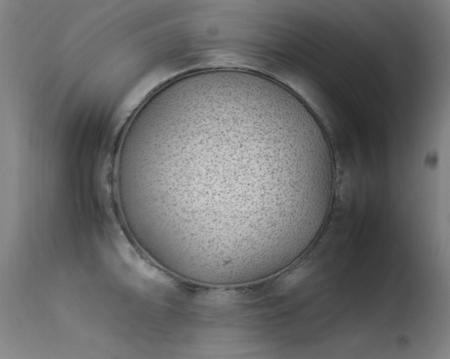 X0000113371094200909221217