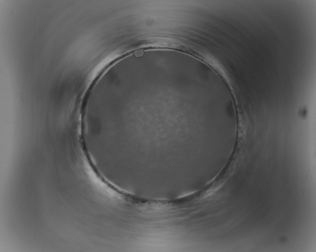 X0000113371095200909221217