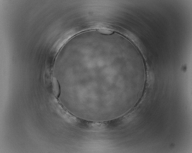 X0000113371097200909221217