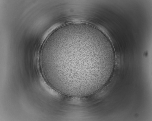 X0000113371098200909221217