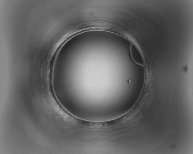 X0000113371099200909221217