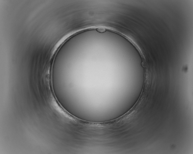 X0000113371100200909221217