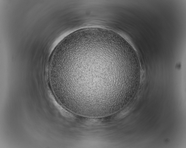 X0000113371101200909221217