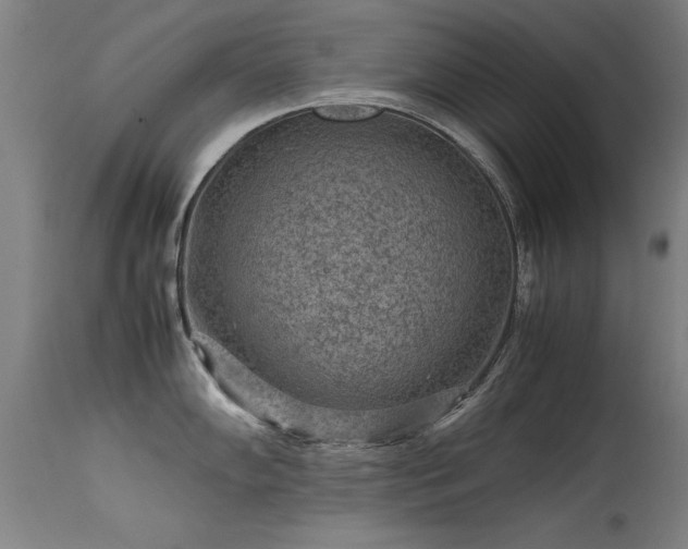 X0000113371102200909221217