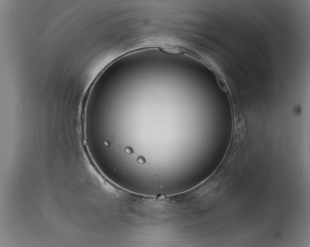 X0000113371103200909221217