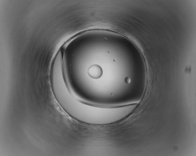 X0000113371104200909221217