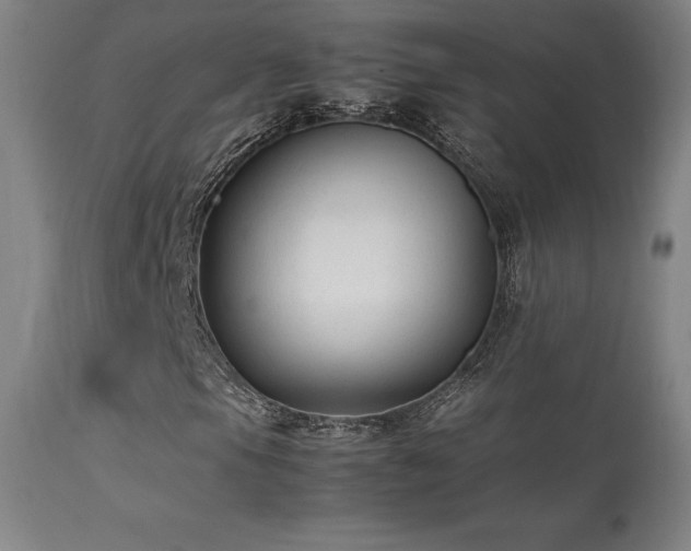 X0000113371105200909221216