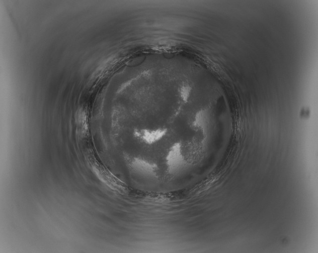 X0000113371106200909221216
