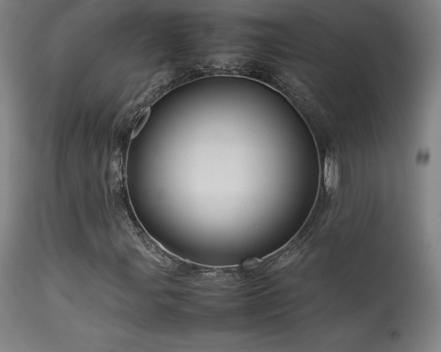 X0000113371107200909221216