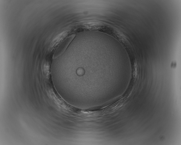 X0000113371108200909221216