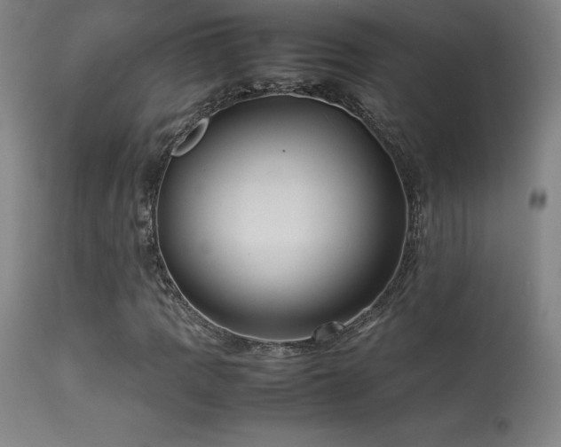 X0000113371109200909221216