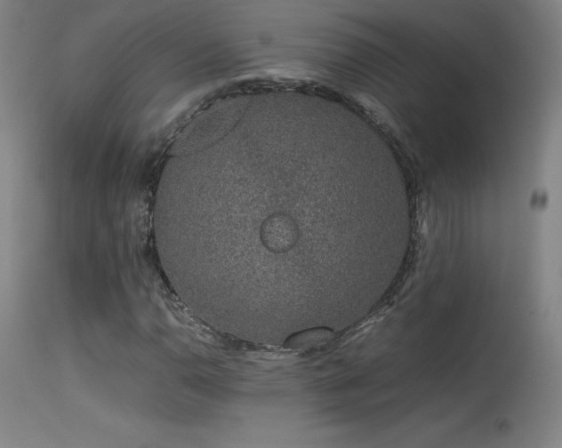 X0000113371110200909221216