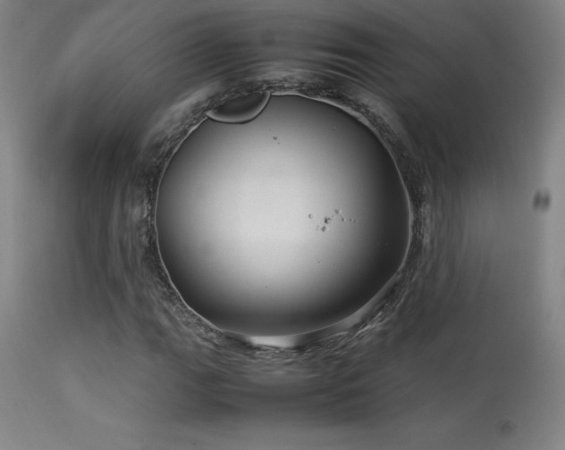 X0000113371111200909221216