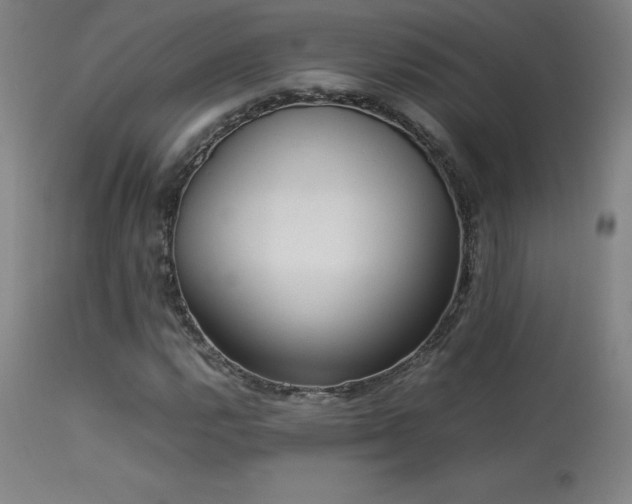 X0000113371112200909221216